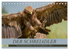 Der Schreiadler (Clanga pomarina) - Deutschands kleinster und stark gefährdeter Adler. (Tischkalender 2025 DIN A5 quer), CALVENDO Monatskalender