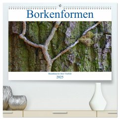 Borkenformen (hochwertiger Premium Wandkalender 2025 DIN A2 quer), Kunstdruck in Hochglanz