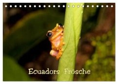 Ecuadors Frösche (Tischkalender 2025 DIN A5 quer), CALVENDO Monatskalender