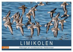 Limikolen - Watvögel am norddeutschen Wattenmeer (Wandkalender 2025 DIN A2 quer), CALVENDO Monatskalender - Calvendo;Wünsche, Arne