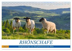 Rhönschafe - Symphatieträger des Biosphärenreservats Rhön (Tischkalender 2025 DIN A5 quer), CALVENDO Monatskalender - Calvendo;Hempe, Arnulf Müller, Manfred