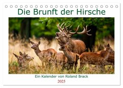 Die Brunft der Hirsche (Tischkalender 2025 DIN A5 quer), CALVENDO Monatskalender