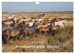 Pferde - Andalusiens wilder Westen (Wandkalender 2025 DIN A4 quer), CALVENDO Monatskalender