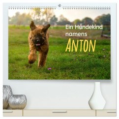 Ein Hundekind namens Anton (hochwertiger Premium Wandkalender 2025 DIN A2 quer), Kunstdruck in Hochglanz