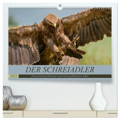 Der Schreiadler (Clanga pomarina) - Deutschands kleinster und stark gefährdeter Adler. (hochwertiger Premium Wandkalender 2025 DIN A2 quer), Kunstdruck in Hochglanz