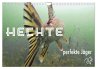 Hechte - perfekte Jäger (Wandkalender... - Bild 1