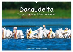 Donaudelta - Tierparadies am Schwarzen Meer (Wandkalender 2025 DIN A2 quer), CALVENDO Monatskalender - Calvendo;Zwick, Martin