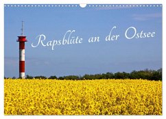 Rapsblüte an der Ostsee (Wandkalender 2025 DIN A3 quer), CALVENDO Monatskalender
