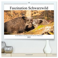 Faszination Schwarzwild (hochwertiger Premium Wandkalender 2025 DIN A2 quer), Kunstdruck in Hochglanz - Calvendo;Fett, Daniela