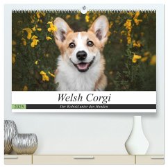 Welsh Corgi - Der Kobold unter den Hunden (hochwertiger Premium Wandkalender 2025 DIN A2 quer), Kunstdruck in Hochglanz