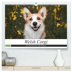 Welsh Corgi - Der Kobold unter den Hunden (hochwertiger Premium Wandkalender 2025 DIN A2 quer), Kunstdruck in Hochglanz - Calvendo;Ahrens, Maria