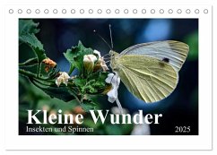 Kleine Wunder - Insekten und Spinnen (Tischkalender 2025 DIN A5 quer), CALVENDO Monatskalender - Calvendo;Schöne, Michael