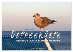 An der Ostseeküste - Deutschlands schönste Seite (Wandkalender 2025 DIN A2 quer), CALVENDO Monatskalender