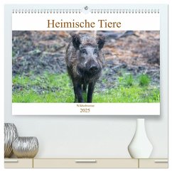 Heimische Tiere - Wildschweine (hochwertiger Premium Wandkalender 2025 DIN A2 quer), Kunstdruck in Hochglanz - Calvendo;pixs:sell