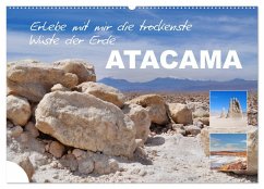 Erlebe mit mir die trockenste Wüste der Erde Atacama (Wandkalender 2025 DIN A2 quer), CALVENDO Monatskalender