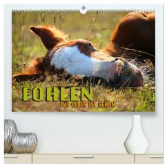 Fohlen - das Leben ist schön (hochwertiger Premium Wandkalender 2025 DIN A2 quer), Kunstdruck in Hochglanz