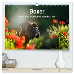 Boxer Frech und fröhlich durch das Jahr (hochwertiger Premium Wandkalender 2025 DIN A2 quer), Kunstdruck in Hochglanz - Calvendo;Janetzek, Yvonne