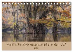 Mystische Zypressensümpfe (Tischkalender 2025 DIN A5 quer), CALVENDO Monatskalender