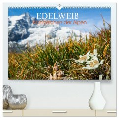 Edelweiß - Wahrzeichen der Alpen (hochwertiger Premium Wandkalender 2025 DIN A2 quer), Kunstdruck in Hochglanz