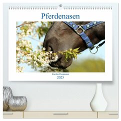 Pferdenasen (hochwertiger Premium Wandkalender 2025 DIN A2 quer), Kunstdruck in Hochglanz