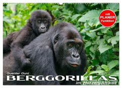 Berggorillas im Herzen Afrikas (Wandkalender 2025 DIN A2 quer), CALVENDO Monatskalender