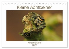 Kleine Achtbeiner (Tischkalender 2025 DIN A5 quer), CALVENDO Monatskalender - Calvendo;Kairat, Wolfgang