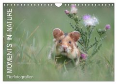 Moments in Nature (Wandkalender 2025 DIN A4 quer), CALVENDO Monatskalender