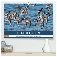 Limikolen - Watvögel am norddeutschen Wattenmeer (hochwertiger Premium Wandkalender 2025 DIN A2 quer), Kunstdruck in Hochglanz