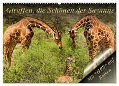Giraffen, die Schönen der Savanne (Wandkalender 2025 DIN A2 quer), CALVENDO Monatskalender - Calvendo;Schwerin, Heinz-Peter