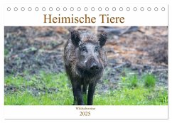 Heimische Tiere - Wildschweine (Tischkalender 2025 DIN A5 quer), CALVENDO Monatskalender - Calvendo;pixs:sell