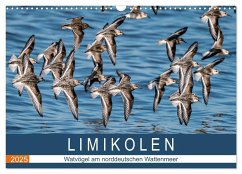 Limikolen - Watvögel am norddeutschen Wattenmeer (Wandkalender 2025 DIN A3 quer), CALVENDO Monatskalender