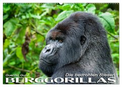 Berggorillas: die bedrohten Riesen (Wandkalender 2025 DIN A2 quer), CALVENDO Monatskalender