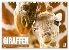 Giraffen: die afrikanischen Tiere mit Weitblick (Wandkalender 2025 DIN A3 quer), CALVENDO Monatskalender