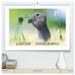 Lustige Zieselbabys (hochwertiger Premium Wandkalender 2025 DIN A2 quer), Kunstdruck in Hochglanz