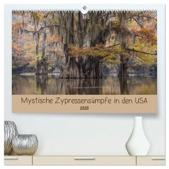 Mystische Zypressensümpfe (hochwertiger Premium Wandkalender 2025 DIN A2 quer), Kunstdruck in Hochglanz