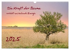 Die Kraft der Bäume (Wandkalender 2025 DIN A3 quer), CALVENDO Monatskalender - Calvendo;Rogalski, Solveig