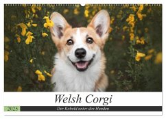 Welsh Corgi - Der Kobold unter den Hunden (Wandkalender 2025 DIN A2 quer), CALVENDO Monatskalender - Calvendo;Ahrens, Maria