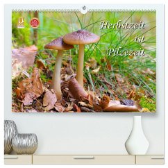 Herbstzeit ist Pilzezeit (hochwertiger Premium Wandkalender 2025 DIN A2 quer), Kunstdruck in Hochglanz