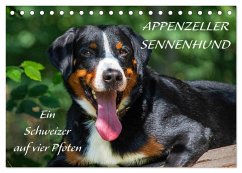 Appenzeller Sennenhund - Ein Schweizer auf 4 Pfoten (Tischkalender 2025 DIN A5 quer), CALVENDO Monatskalender