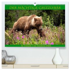 Der mächtige Gizzlybär (hochwertiger Premium Wandkalender 2025 DIN A2 quer), Kunstdruck in Hochglanz