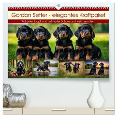 Gordon Setter - elegantes Kraftpaket (hochwertiger Premium Wandkalender 2025 DIN A2 quer), Kunstdruck in Hochglanz