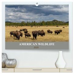 American Wildlife (hochwertiger Premium Wandkalender 2025 DIN A2 quer), Kunstdruck in Hochglanz - Calvendo;Heeb, Christian