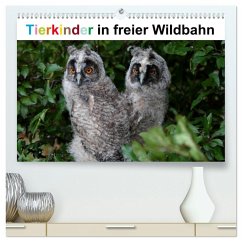 Tierkinder in freier Wildbahn (hochwertiger Premium Wandkalender 2025 DIN A2 quer), Kunstdruck in Hochglanz