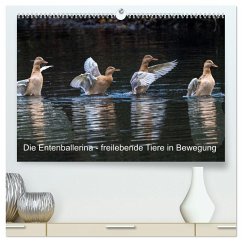 Die Entenballerina - freilebende Tiere in Bewegung (hochwertiger Premium Wandkalender 2025 DIN A2 quer), Kunstdruck in Hochglanz - Calvendo;Pohl, Bruno