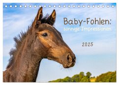 Baby-Fohlen: sonnige Impressionen (Tischkalender 2025 DIN A5 quer), CALVENDO Monatskalender