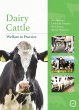 Dairy Cattle Welfare in Practice... - Bild 1