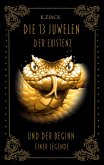 Die 13 Juwelen der Existenz (eBook, ePUB)