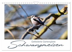 Gefiederte Gartengäste, Schwanzmeisen (Wandkalender 2025 DIN A4 quer), CALVENDO Monatskalender