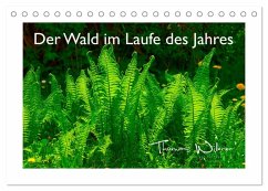 Der Wald im Laufe des Jahres (Tischkalender 2025 DIN A5 quer), CALVENDO Monatskalender