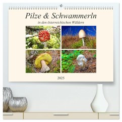 Pilze & Schwammerln (hochwertiger Premium Wandkalender 2025 DIN A2 quer), Kunstdruck in Hochglanz